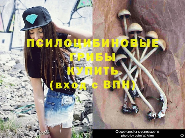 бутират Карталы