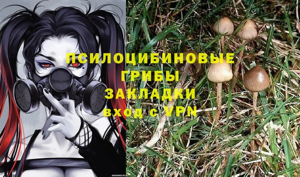 прущая мука Касимов
